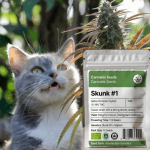 Skunk #1