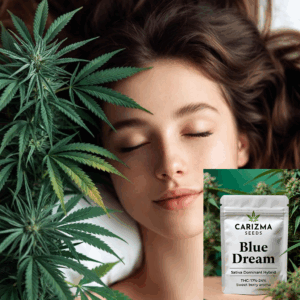 Blue Dream
