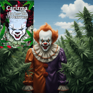 PennyWise(CBD)