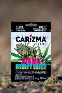 Fruity Juice (Hybrid)