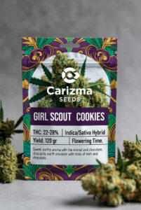 Girl Scout Cookies (Hybrid)