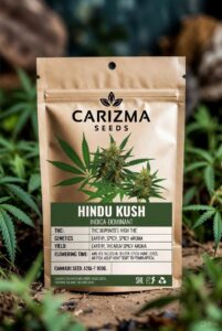 Hindu Kush (Indica)