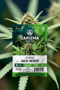 Jack Herer (Hybrid)