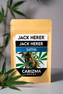 Jack-Herer-Sativa-packet4
