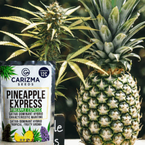 Pineapple Express
