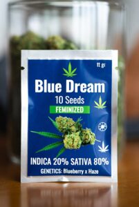 Blue Dream (Feminized)