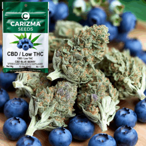 CBD Blueberry(CBD)