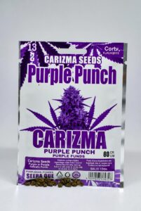 Purple Punch (Indica)