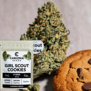 Girl Scout Cookies