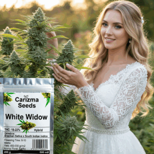 White Widow