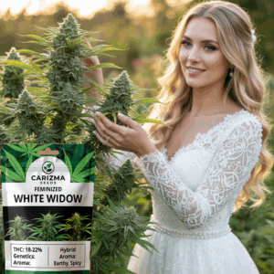 White Widow(Fem)